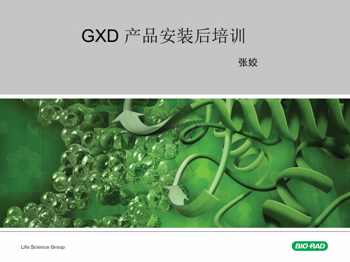 Gene Pulse Xcell电穿孔
