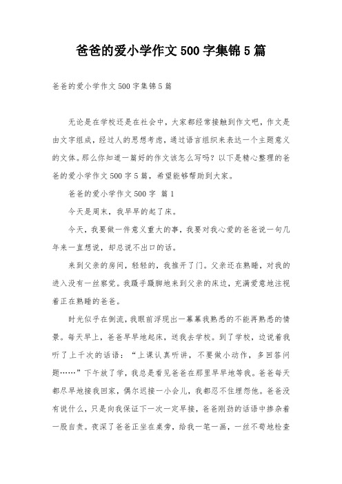 爸爸的爱小学作文500字集锦5篇