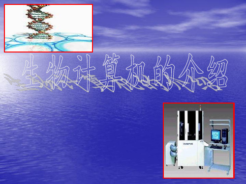 生物计算机的介绍