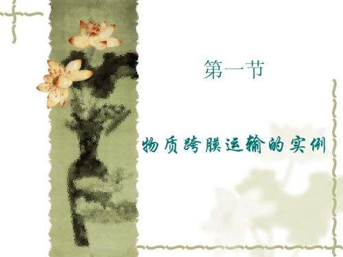 4.1 物质跨膜运输的实例