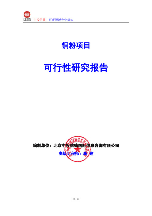 铜粉项目可行性研究报告编制格式说明(模板型word)