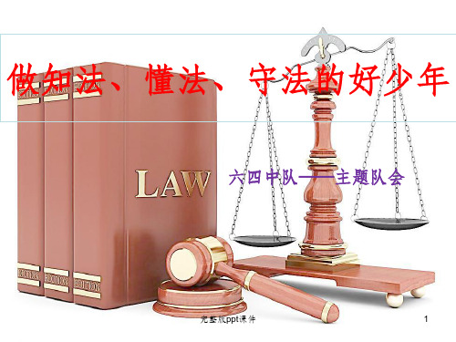 做知法懂法守法的好少年ppt课件