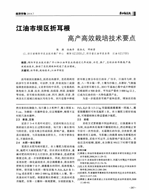 江油市坝区折耳根高产高效栽培技术要点