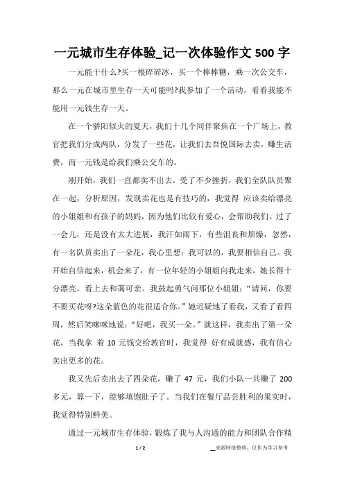 一元城市生存体验_记一次体验作文500字