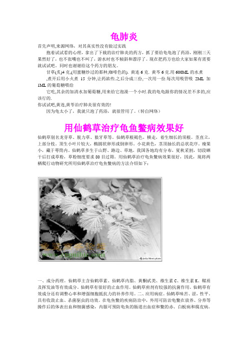 龟肺炎