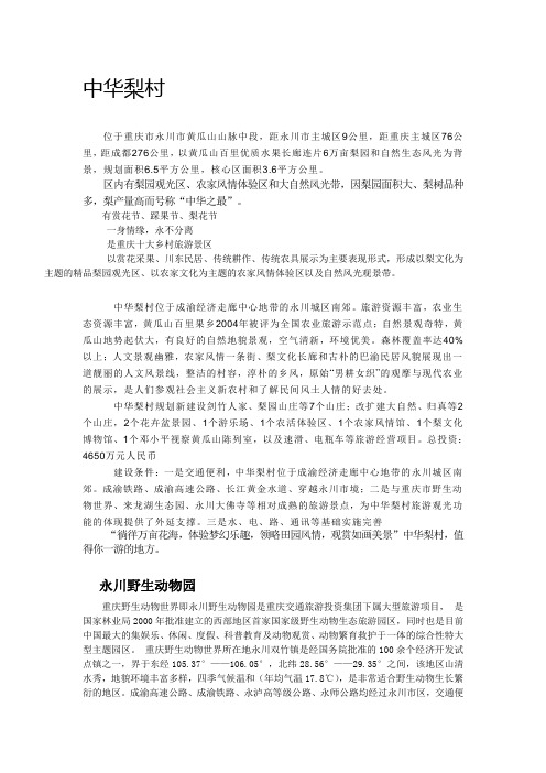 中华梨村