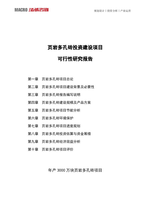 页岩多孔砖投资建设项目可行性研究报告