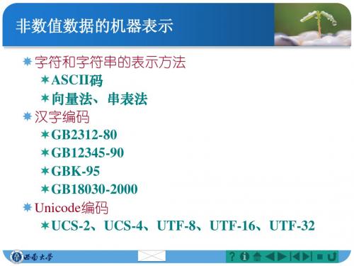 ch2-2 非数值数据的机器层次表示