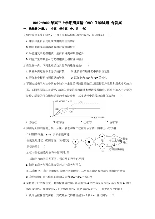 2019-2020年高三上学期周周清(28)生物试题 含答案