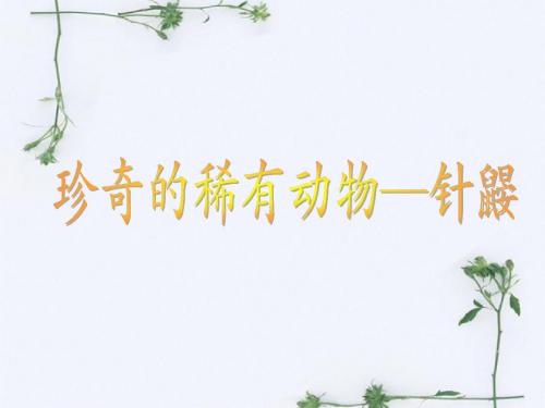 《珍奇的稀有动物—针鼹》课件1