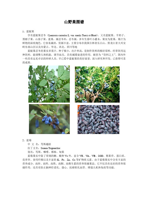 山野果图谱
