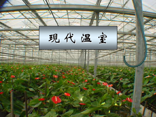 设施的结构与性能 现代温室ppt课件