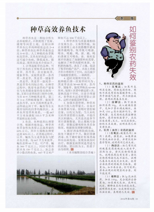 种草高效养鱼技术