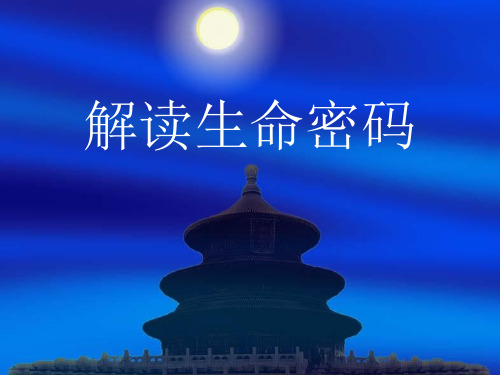 探索生日数字的秘密——生命密码
