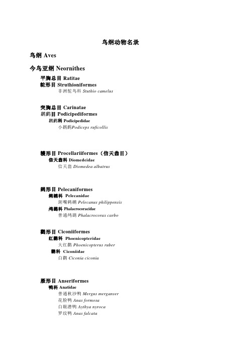 鸟纲动物名录
