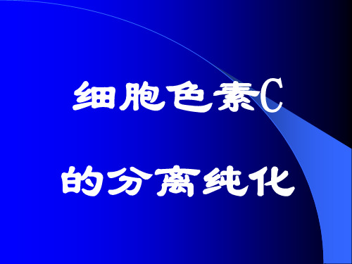 细胞色素C的分离纯化