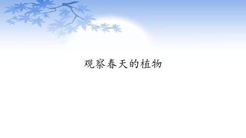 人教版三年级科学下册观察春天的植物课件