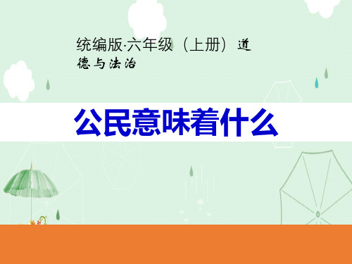 《公民意味着什么》我们是公民PPT课件
