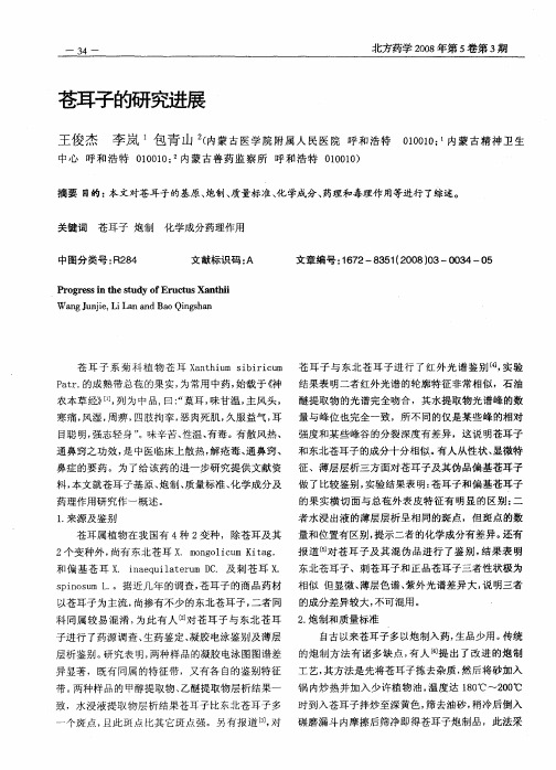 苍耳子的研燃
