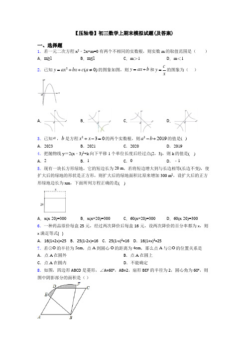 【压轴卷】初三数学上期末模拟试题(及答案)