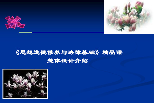 思想道德修养与法律基础课程整体设计介绍
