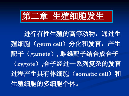 第二章 生殖细胞发生