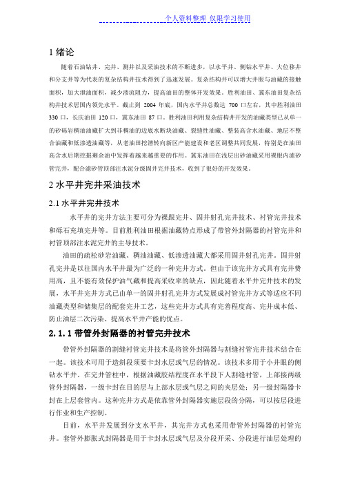 关于水平井完井技术讨论与研究报告lj
