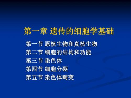 遗传的细胞学基础