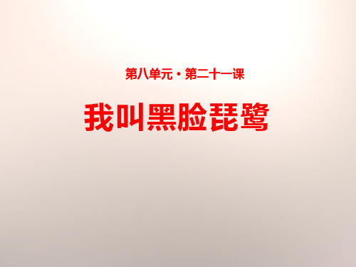 《我叫黑脸琵鹭》PPT-完美版