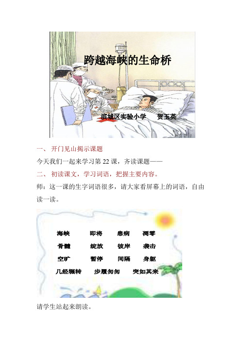 跨越海峡的生命桥教案实录