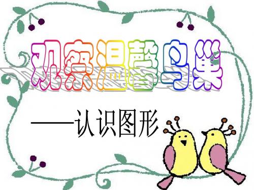 二年级下册做鸟巢认识图形.ppt
