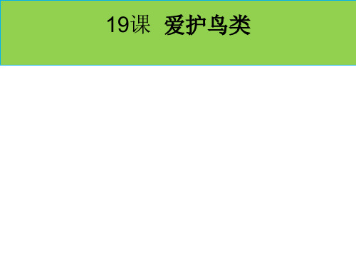 二年级下册美术优秀课件-19爱护鸟类 ｜广西版 PPT(19页)