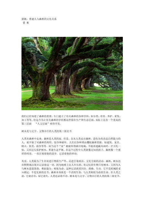 梁衡 重建人与森林的文化关系