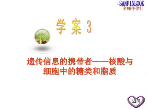 高三生物一轮复习课件人教版： 第四课  遗传信息的携带者——核酸与细胞中的糖类和脂质