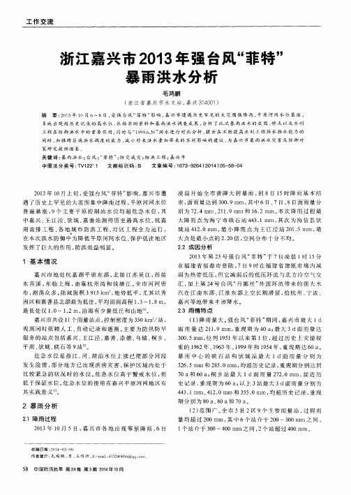 浙江嘉兴市2013年强台风“菲特”暴雨洪水分析