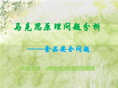 用马克思原理解释食品安全问题.ppt