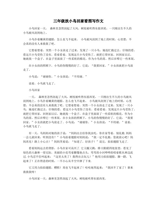 三年级放小鸟回家看图写作文