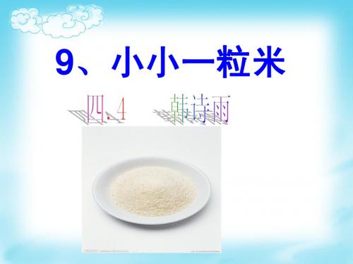 小小一粒米