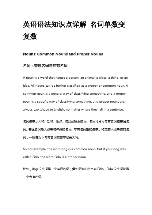 英语语法知识点详解 名词单数变复数