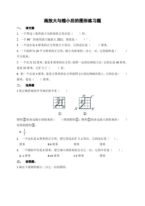 【小学数学】冀教版数学六年级上册 第6单元 2《画放大与缩小后的图形》试卷 