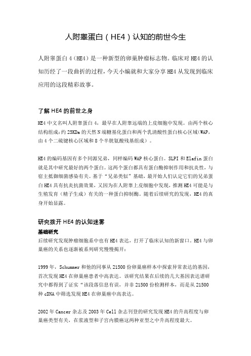 人附睾蛋白(HE4)认知的前世今生