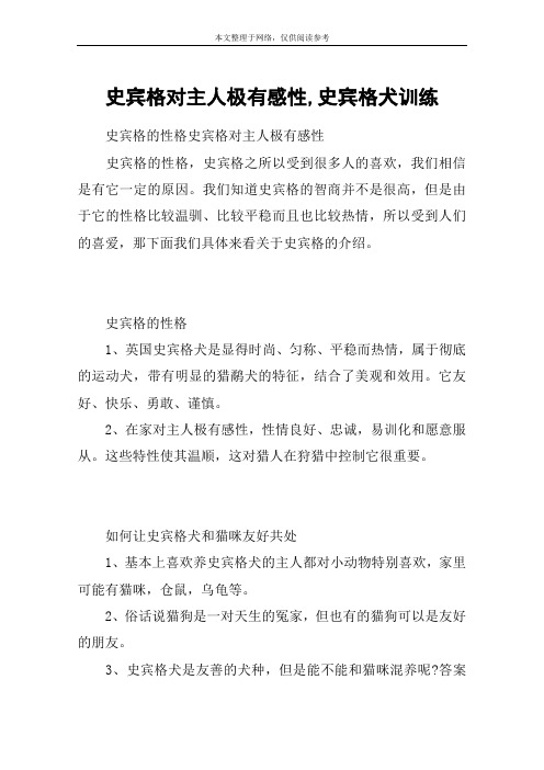 史宾格对主人极有感性,史宾格犬训练