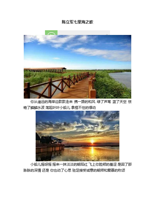 陈立军七里海之歌