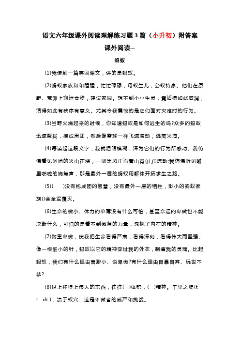 语文六年级课外阅读理解练习题3篇(小升初)附答案