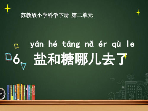《盐和糖哪儿去了》PPT完美课件苏教版科学1