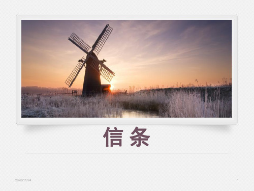 高中语文必修四《信条》短文三篇PPT精品课件