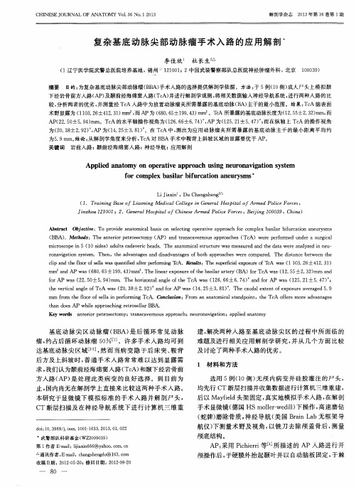 复杂基底动脉尖部动脉瘤手术入路的应用解剖