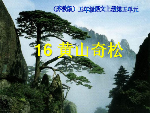 《黄山奇松》精选优质教学PPT课件2