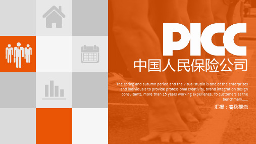【精选】中国人保人保投资中国人民保险公司ppt模板