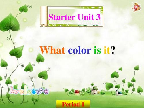 Starter Unit 3What color is it